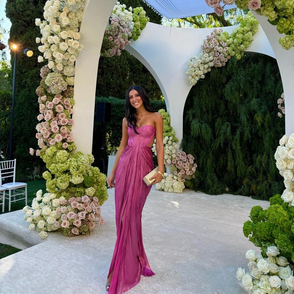 MARIA LUCIA HOHAN CALY GOWN IN RASPBERRY